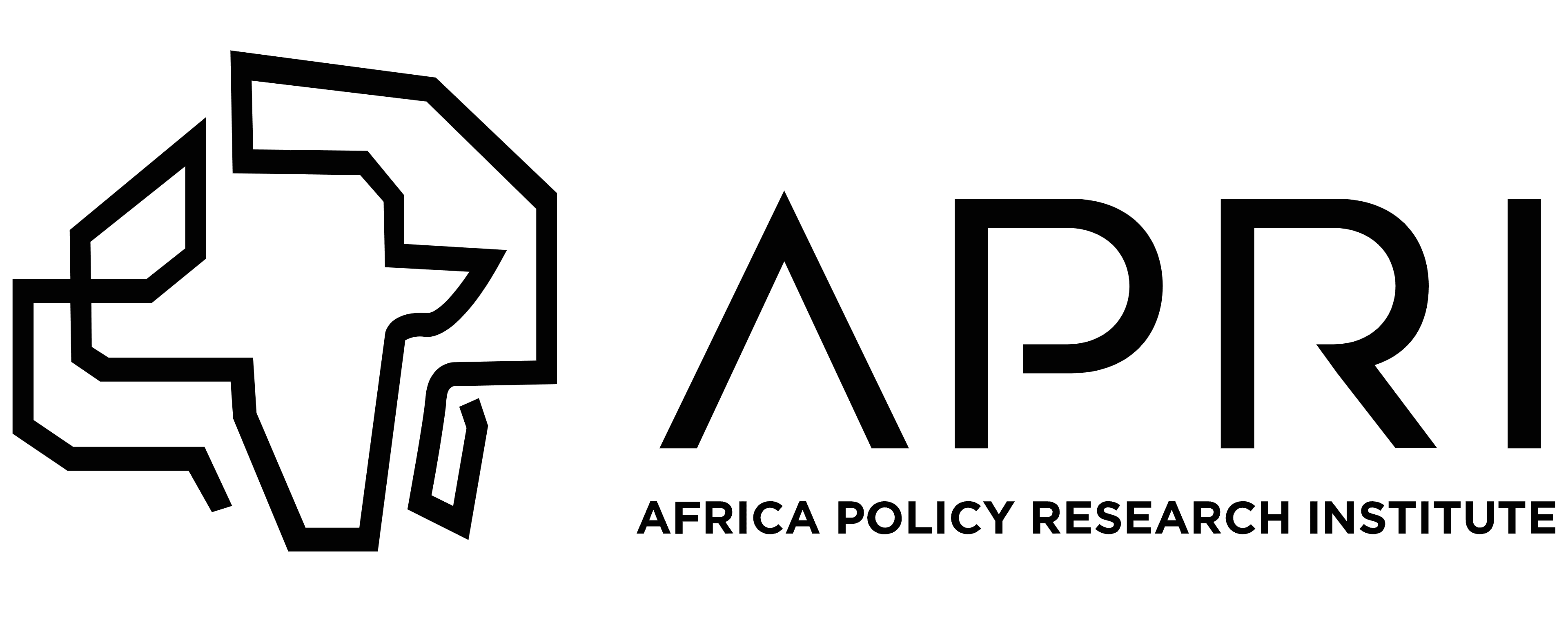 Africa Policy Research Institute logo