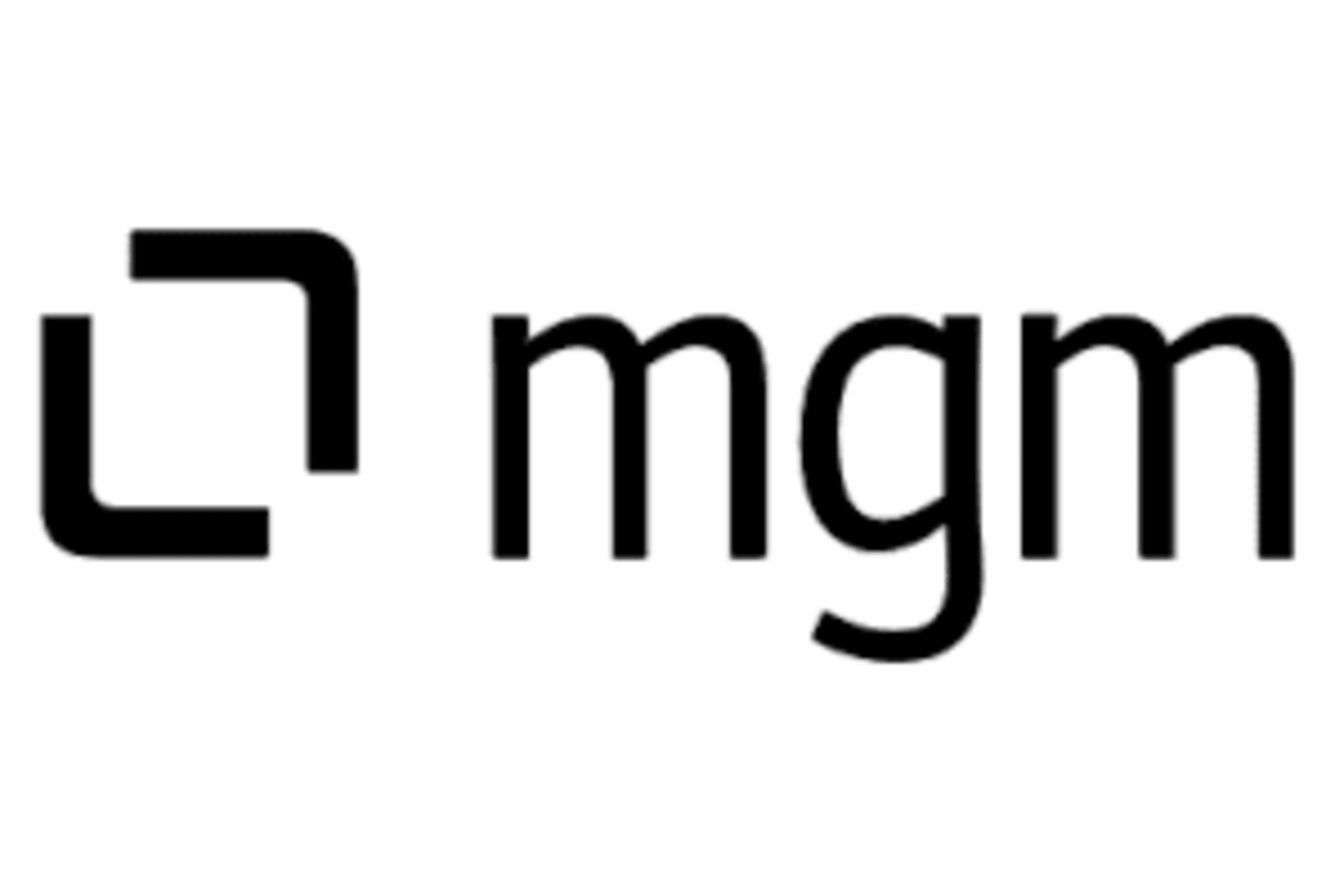 mgm security partners GmbH logo