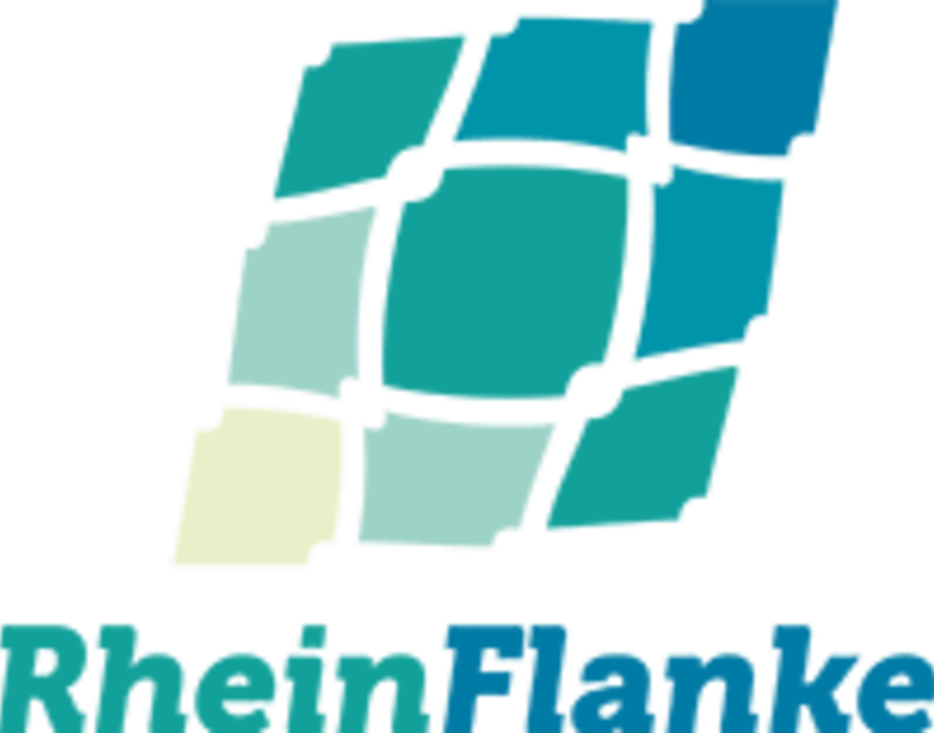 Rhein Flanke logo