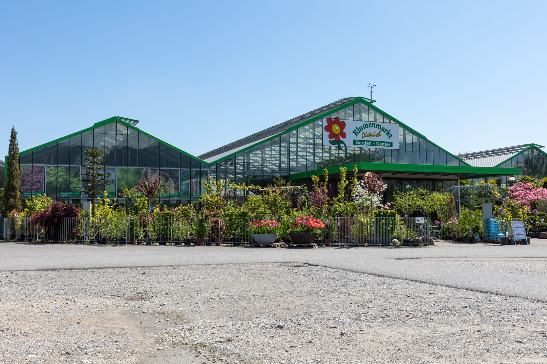 Success Story Blumenmarkt Dietrich