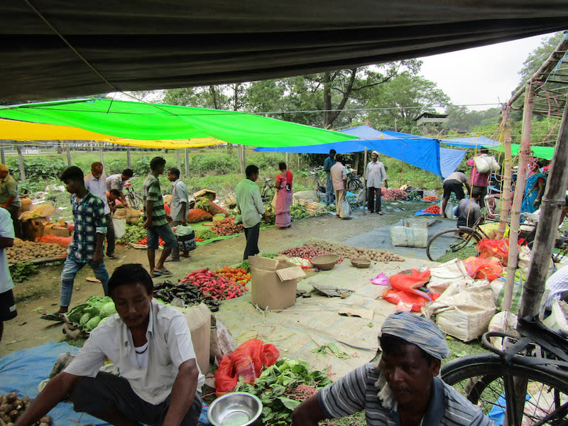 market survey3