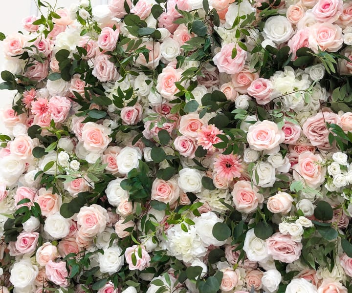 Garden roses wall