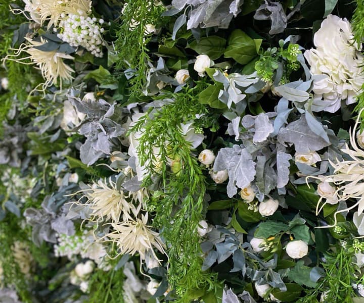 Ursula wall