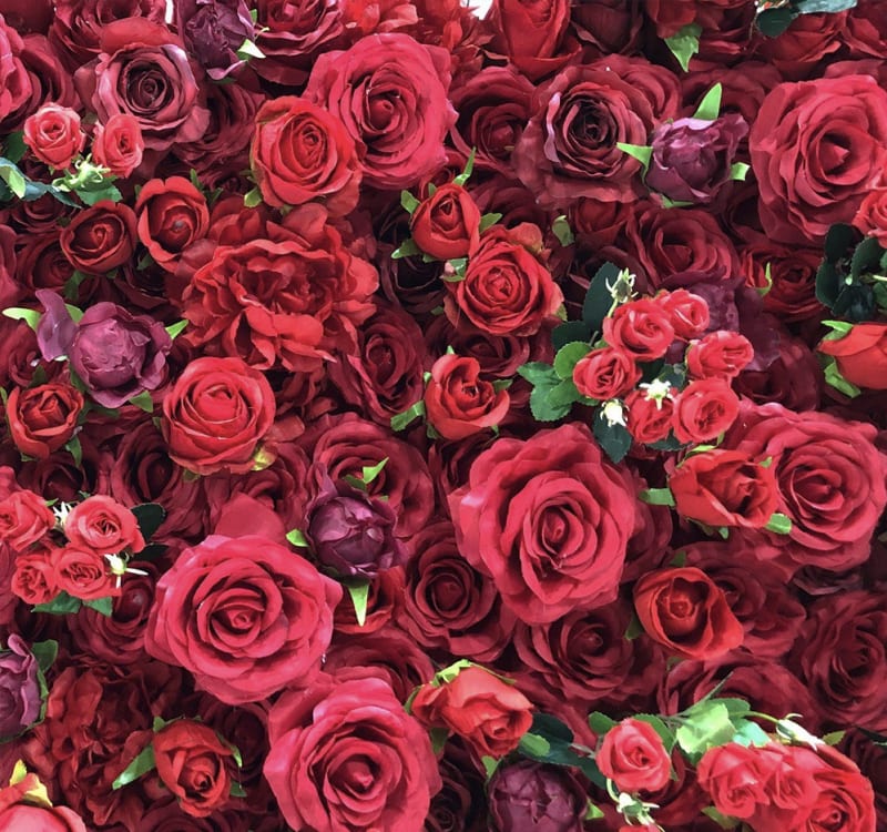 a bunch of red roses that are in a bunch of red flowers that are in a bunch of red flowers that are in a bunch of red roses that are in a bunch of red roses that are in a bunch