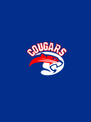 Richard T. Crane Medical Prep High School