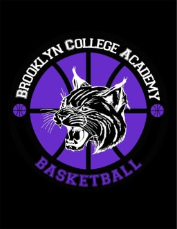 Brooklyn College Academy