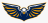 Dream City Christian (AZ) Boys V