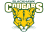 Blackhawk High School
