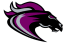 Ridge View Blazers Boys (SC)