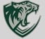 Illinois cougars 