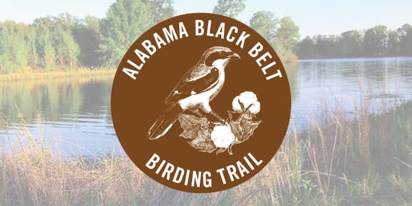 Black Belt Birding Trail Image