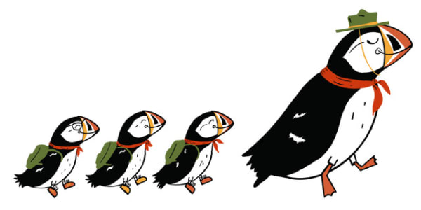 Puffin Hiking Pass Image
