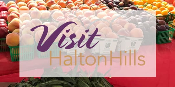 Halton Hills Great Taste of Ontario Passport CardLogo