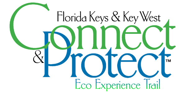Florida Keys Eco-Experience Trail Image