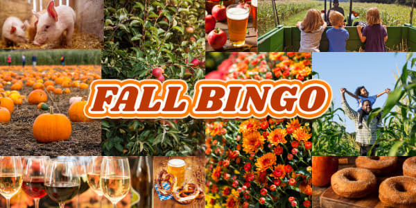 Fall on the Farm - Fall Bingo