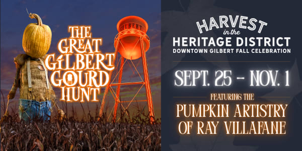 The Great Gilbert Gourd Hunt - Tales from the Heritage District