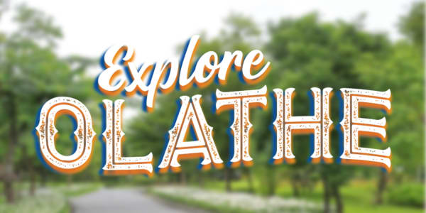 Park Explorer Challenge Image