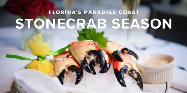 Stone Crab Season Image