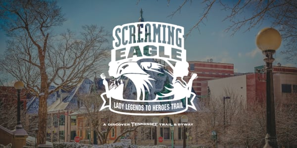 Screaming Eagle Image