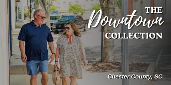 The Downtown Collection Image
