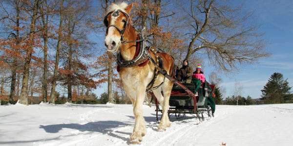 Winter Wonderland  Image