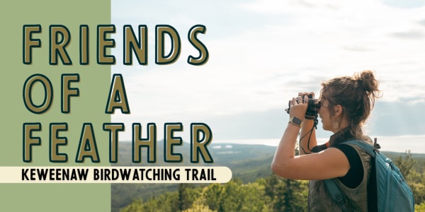 Friends of a Feather Birding Trail Image