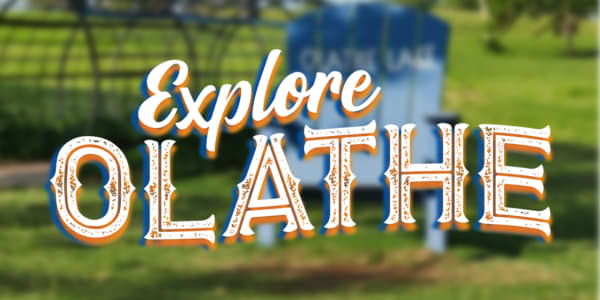 Lake Olathe Interactive Art Image