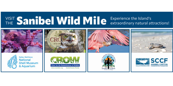 The Sanibel Wild Mile Pass 2.0 Image