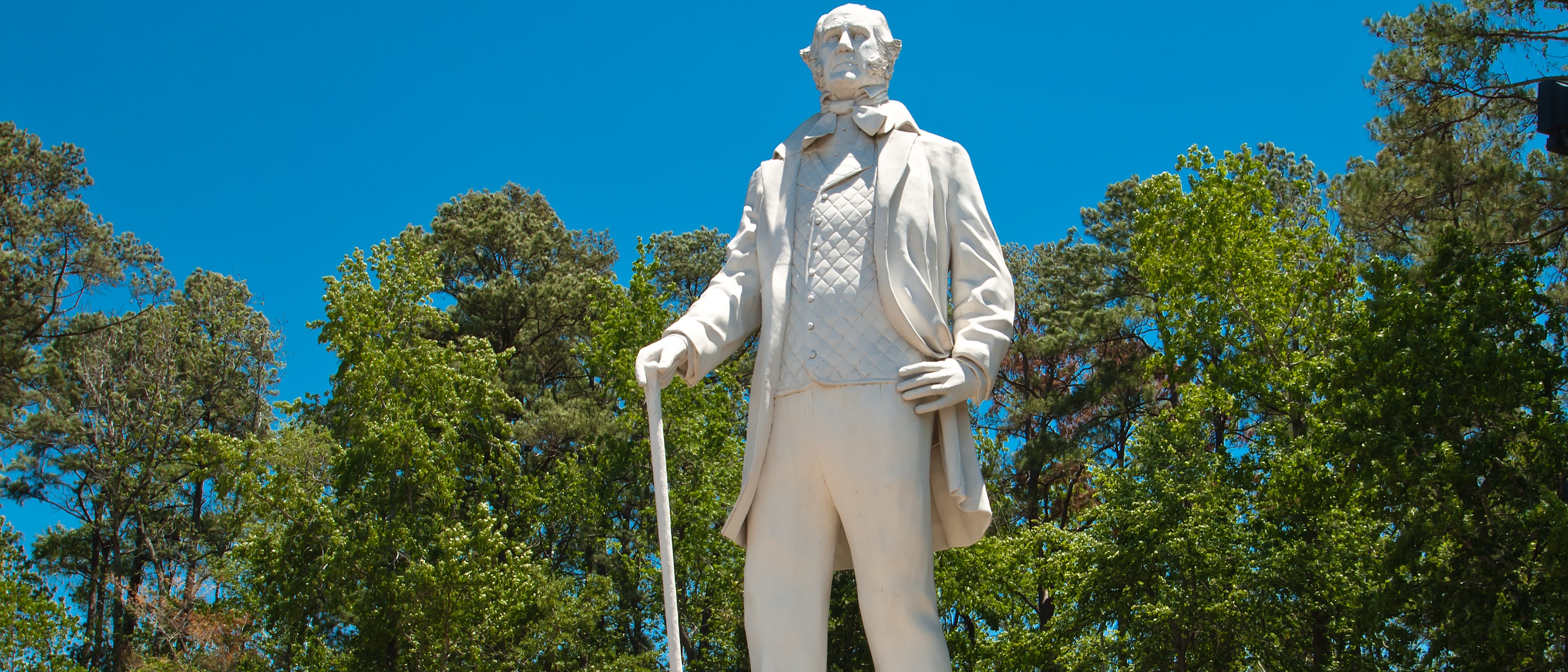 detail image