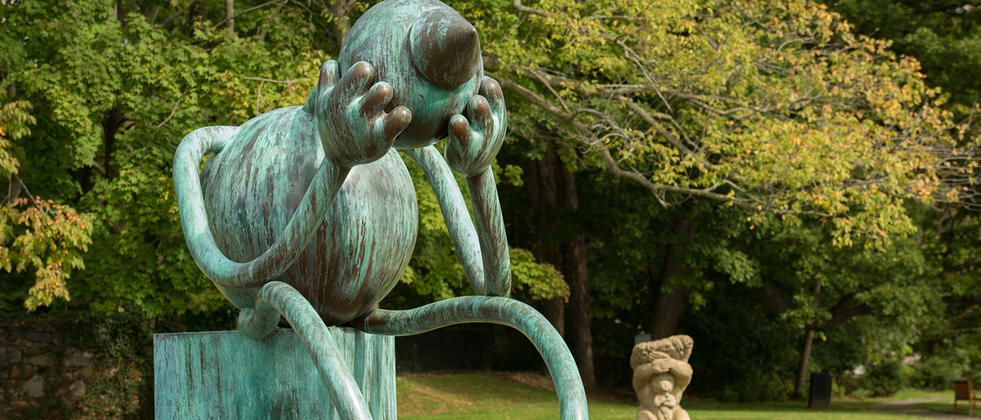 detail image
