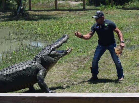 Admission To Gator Country Houston Marketplace