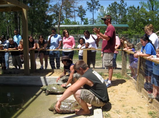 Admission To Gator Country Houston Marketplace