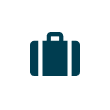 Insurance icon