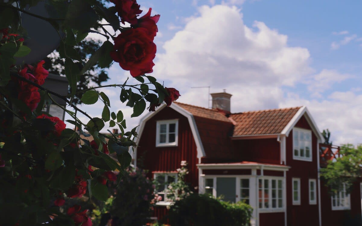 En klassisk röd sommarstuga med brutet tak i bakgrunden, inramad av blommande röda rosor i förgrunden under en blå himmel med moln.