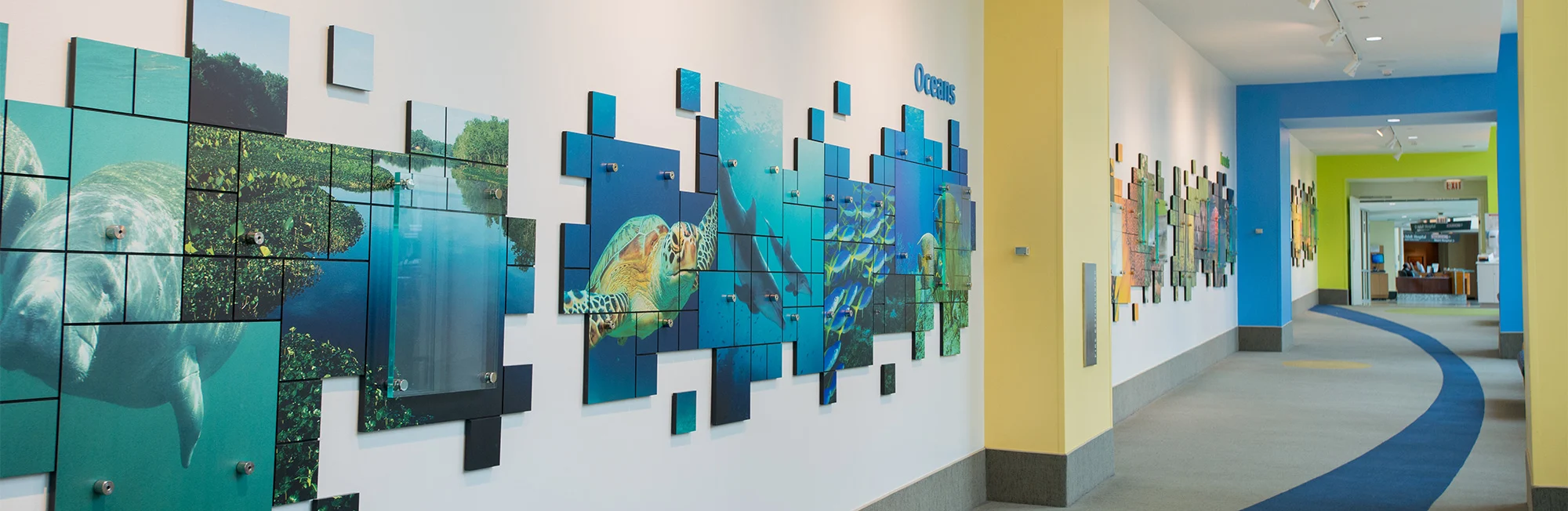 colorful hallway inside Wolfson Children's Hospital