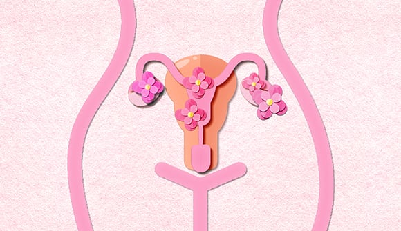 photo for Conception misconceptions article