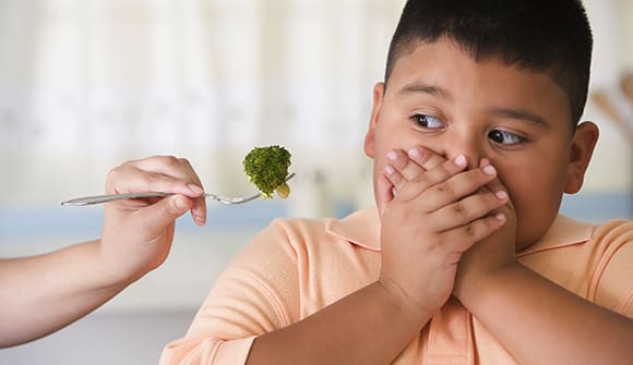 photo for More than picky eating article