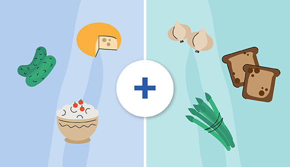 illustration of different foods: sour cream, pickles, cheese, garlic, toast and asparagus