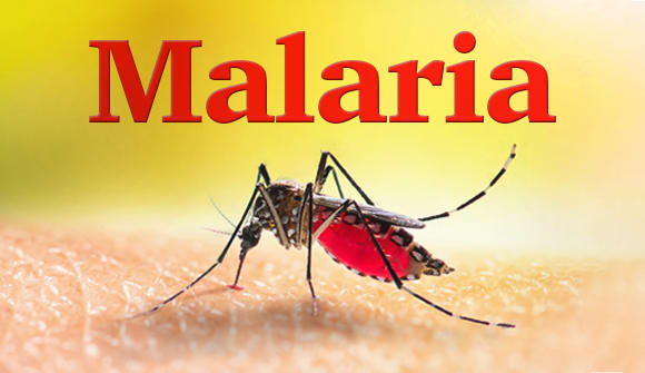 Facts about malaria Baptist Health Jacksonville FL
