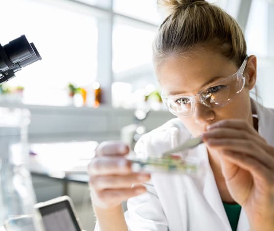 Female clinical trials researcher wearing safety goggles examines petrie dish.