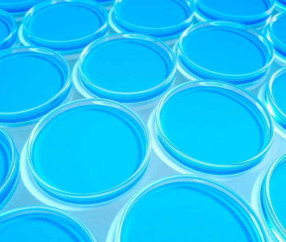 A group of blue petrie dishes.