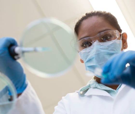 A female clinical researcher wearing safety glass and surgical mask looks over petrie dish.