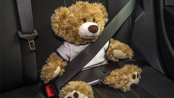 A teddy bear sits in the car with his seat belt on.