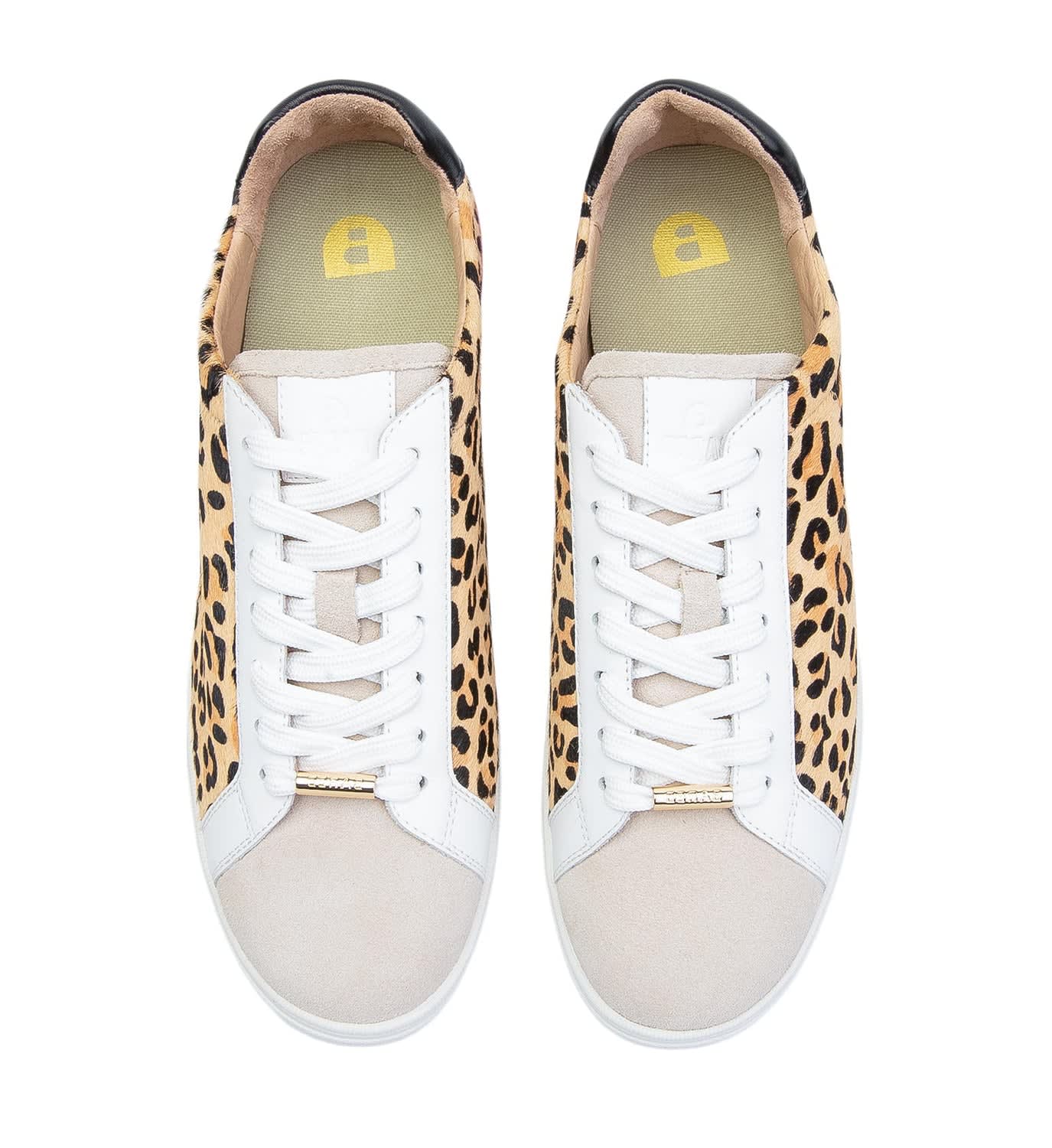 Hornbill 3 Leopard & Candy Pink Leather Sneakers Bared Footwear