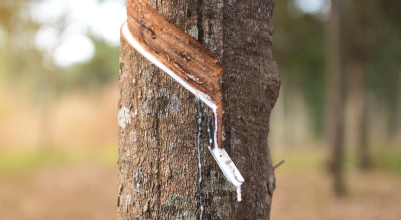 Natural Materials