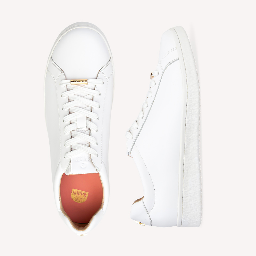 Whimbrel White Leather & Gold Star Sneakers