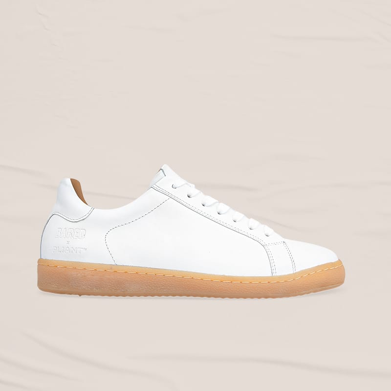 Silkie White Leather & Gum Sole Sneakers