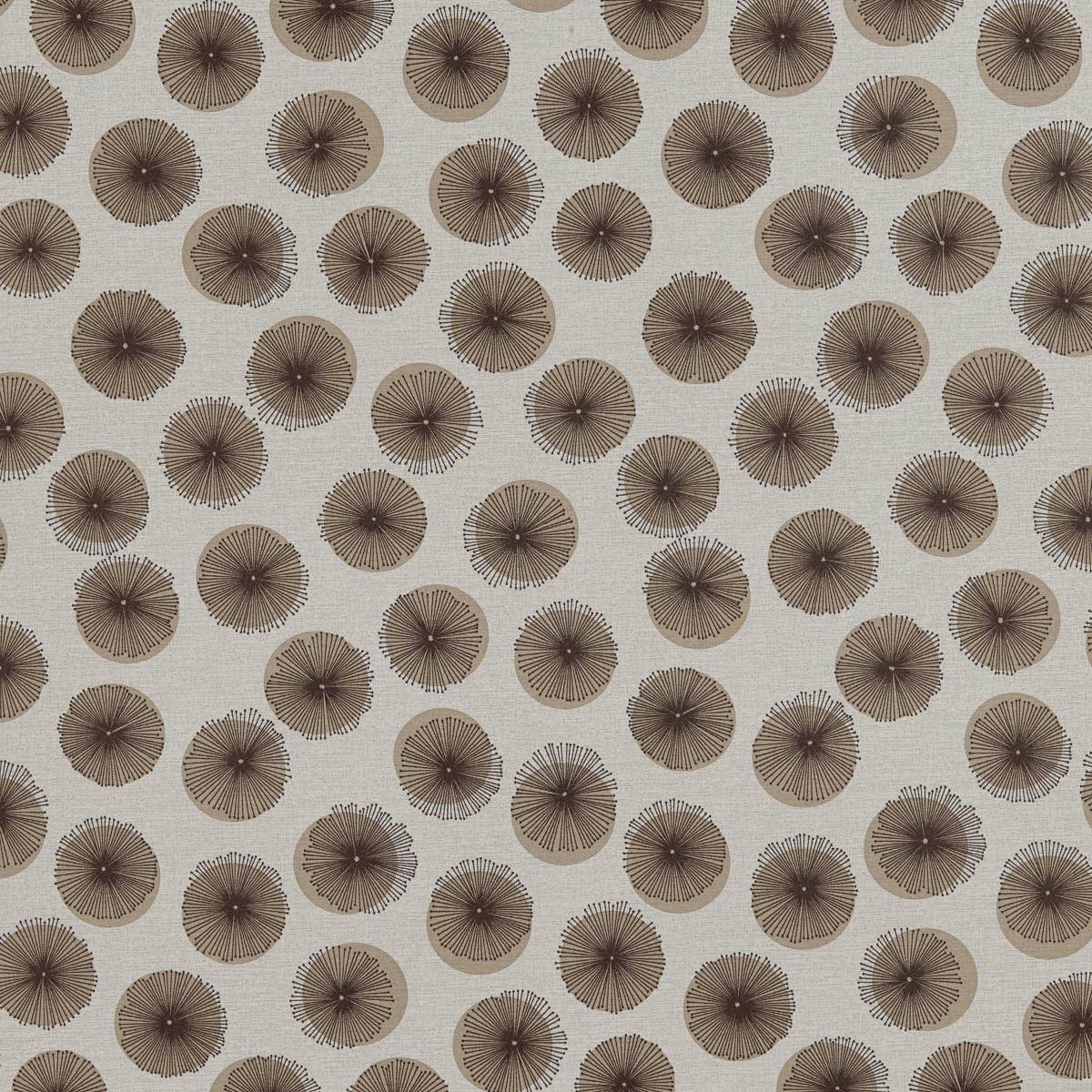 PDO 51 PUMICE PDO 51 PUMICE