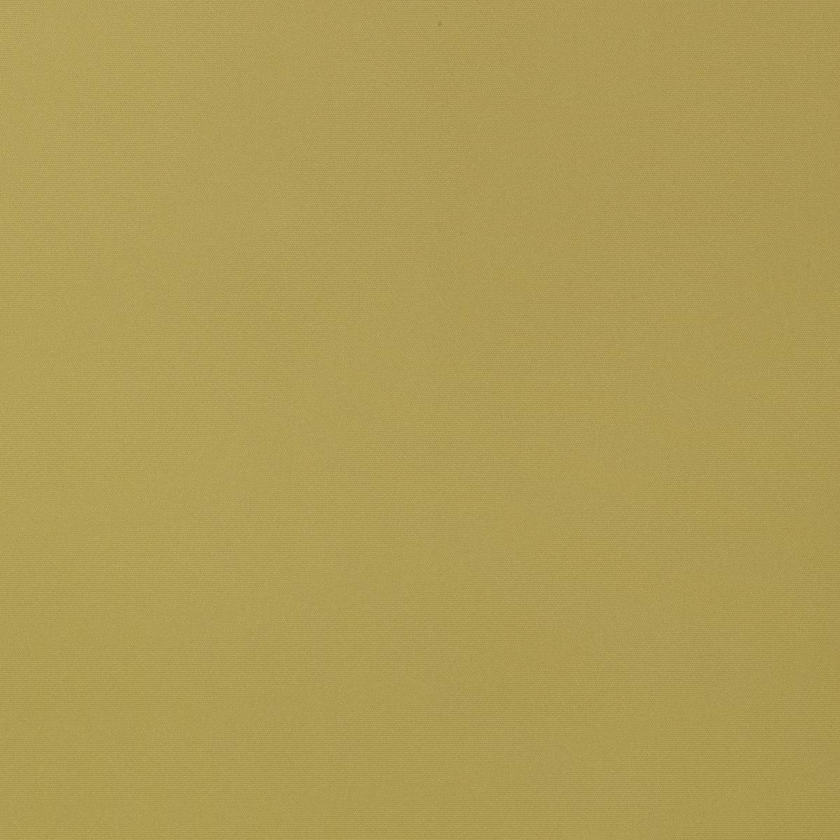 TOU 56 SWEET PEA TOU 56 SWEET PEA