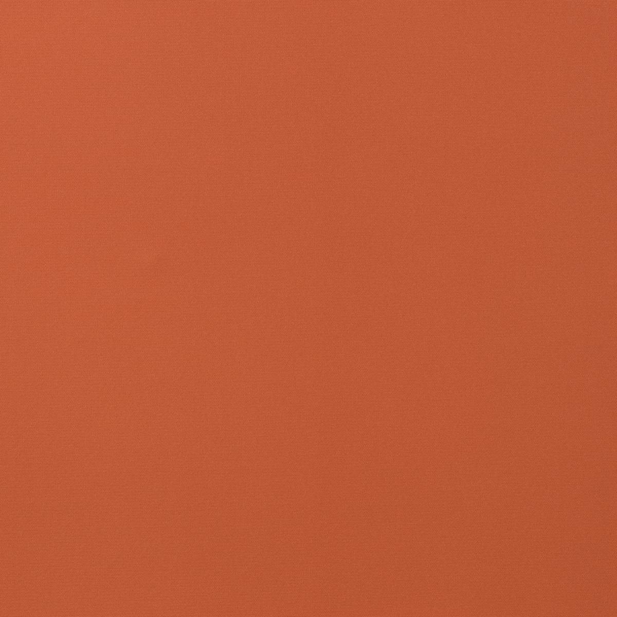 TOU 71 CARROT TOU 71 CARROT